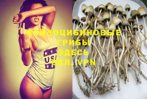 гидропоника Магас
