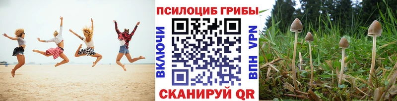 Галлюциногенные грибы GOLDEN TEACHER  где купить   Шарыпово 