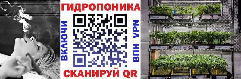 закладки  Шарыпово  Конопля ГИДРОПОН 